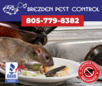 brezden-pest-control-rodents-2024.png