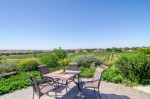 paso robles vacation rentals -  vacation rentals paso robles - Rad Dog Vineyard.jpg