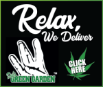DUBS-GREEN-GARDEN-August-2023.png
