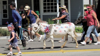 Templeton fourth of july