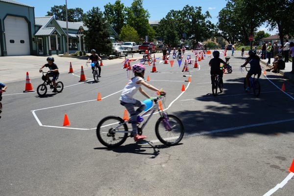 Cycle de Mayo