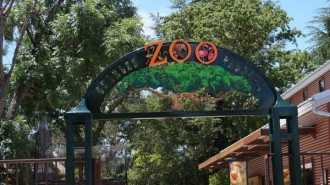 Atascadero Charles Paddock Zoo