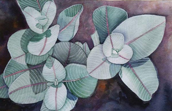 Title: Wild Flora and Fauna of the California Desert (watercolor) by Mary Kopecky.