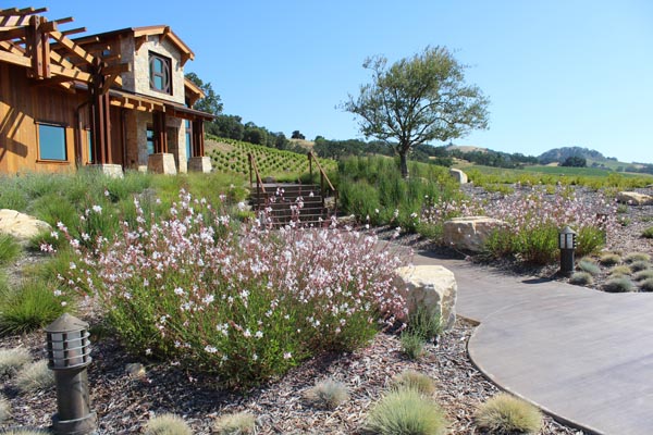 Landscaping halter ranch