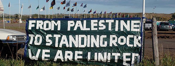 Activists from around the world, including Palestine, are expressing solidarity with the water protectors.