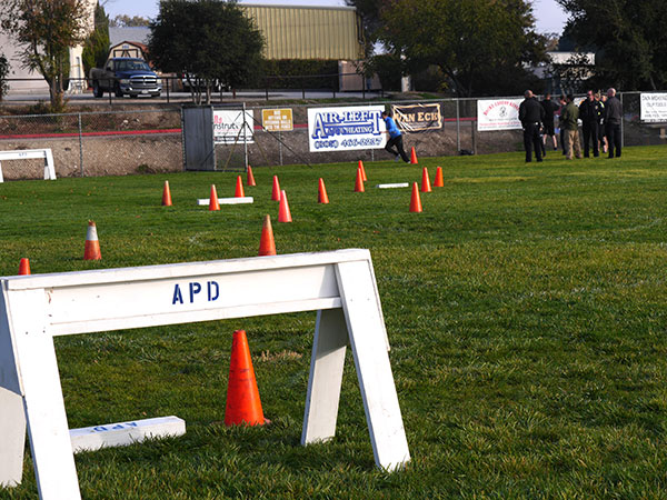 A female applicant runs at a six-foot fence to pass the physical (photos Jordan Elgrably).