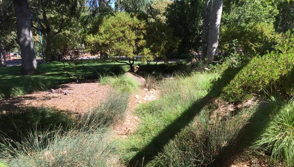 The demonstration garden before. 