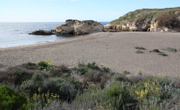 montana de oro clean up