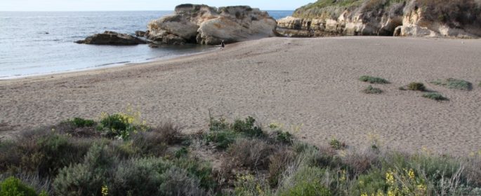 montana de oro clean up