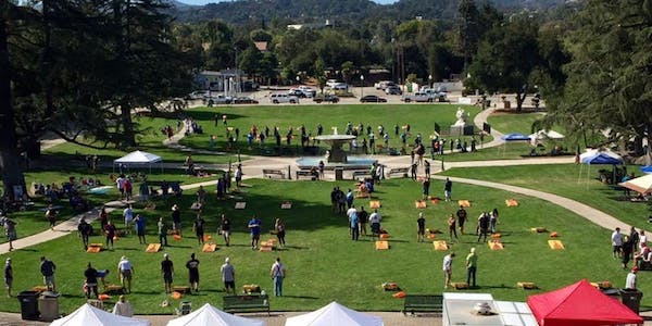 cornhole showdown atascadero