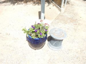 Flower urn faces of freedom atascadero