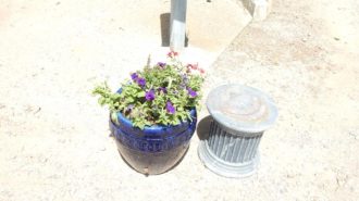 Flower urn faces of freedom atascadero