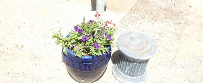 Flower urn faces of freedom atascadero