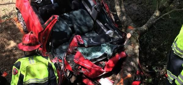 Woman needs to be cut from car after crashing into tree