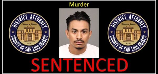 nicholas ron sentenced