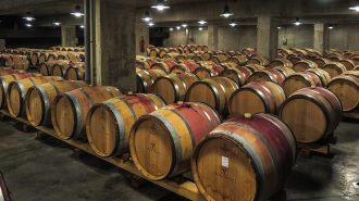 Strategies local wine producers can use to boost income