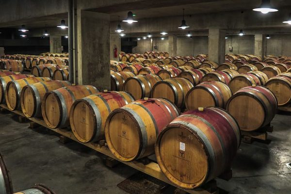 Strategies local wine producers can use to boost income