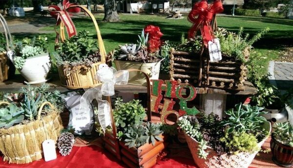 Pavilion on the Lake holiday boutique returns this year outdoors