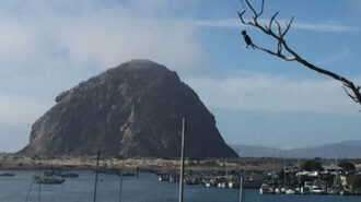 Morro Bay