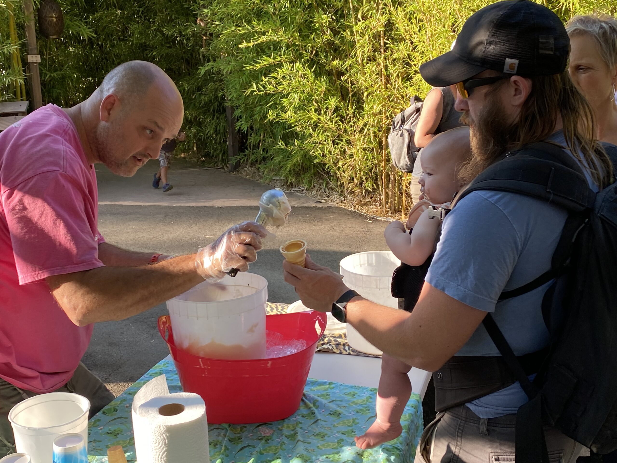 Ice Cream Zoofari returns June 6
