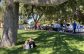 City hosting summer kick-off for farmers market event