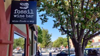 Fossil Wine Bar Atascadero Pub Crawl