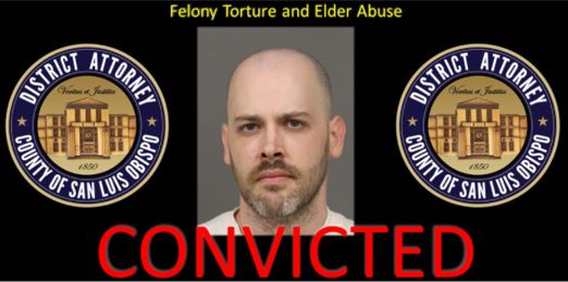 felony elder abuse
