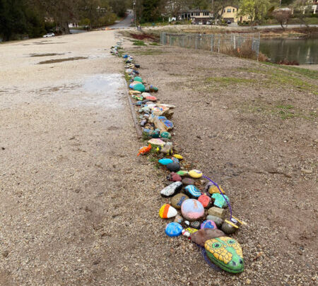 Atascadero Rock Snake