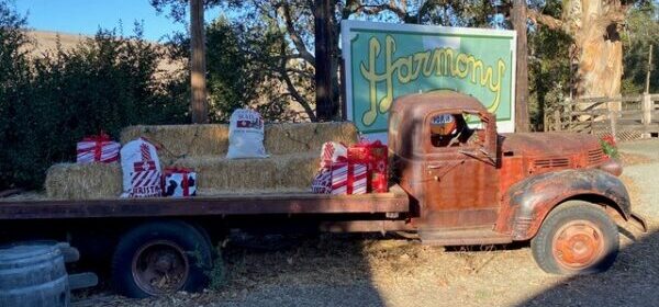 harmony christmas market