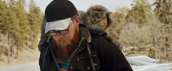 cat daddies
