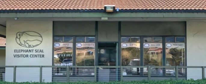 friends of the elephant seal center