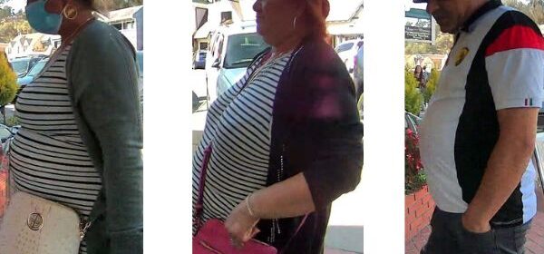 cambria theft suspects