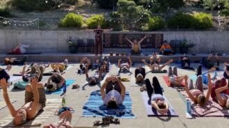 Terrace Yoga