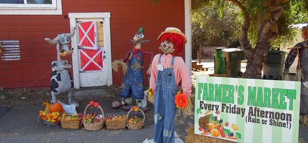scarecrow fest