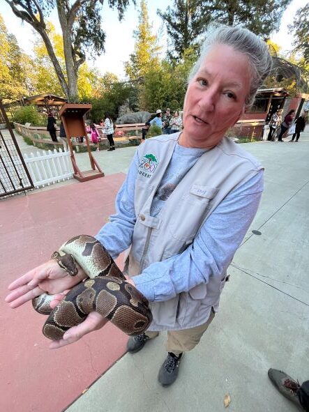 Zoo keeper with snake at Zoo Boo