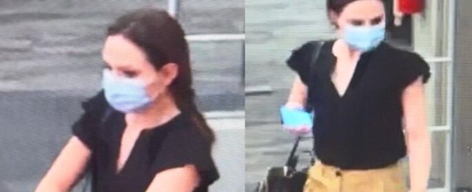 theft suspect