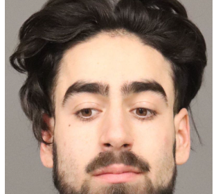 Teen arrested in SLO for domestic violence, illegal firearm possession