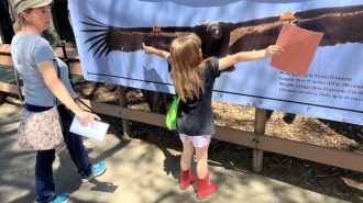 Hundreds attend zoo's Party for the Planet