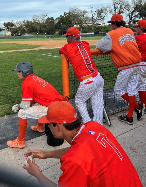 Greyhound Dugout