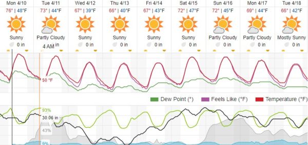 Sunny, mild weather expected after warmer start to the week