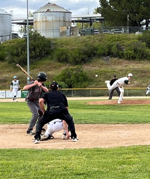 Bearcats Zane Canaday at plate