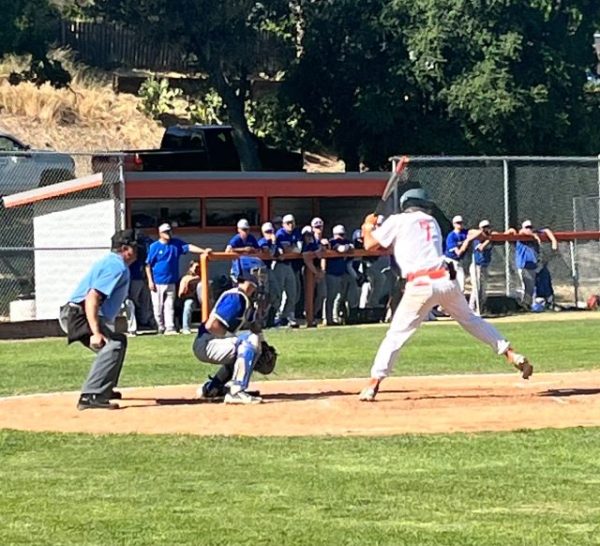 Chase Viale at the plate