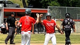 Greyhounds Celebrating after run scored