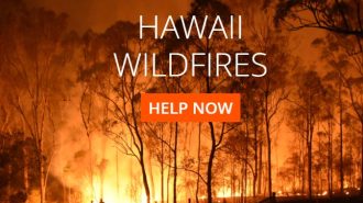 Local moving company hosting donation drive for Maui wildfire survivors