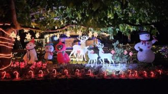 Christmas light displays to visit in North County