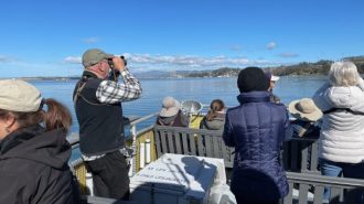 Birding enthusiasts will flock to Morro Bay for annual bird festival