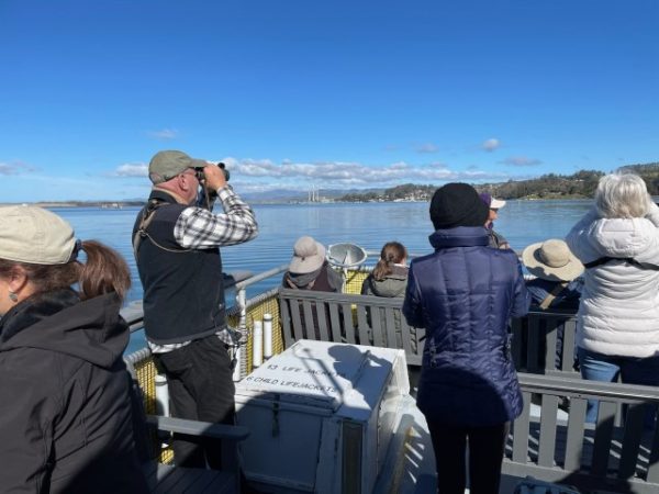 Birding enthusiasts will flock to Morro Bay for annual bird festival