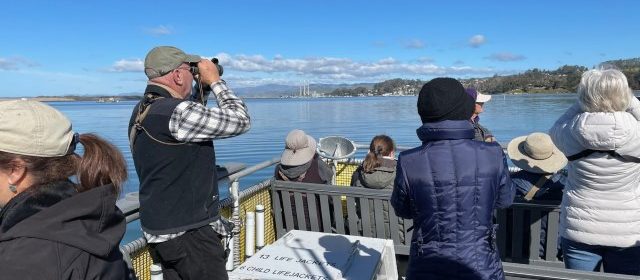 Birding enthusiasts will flock to Morro Bay for annual bird festival