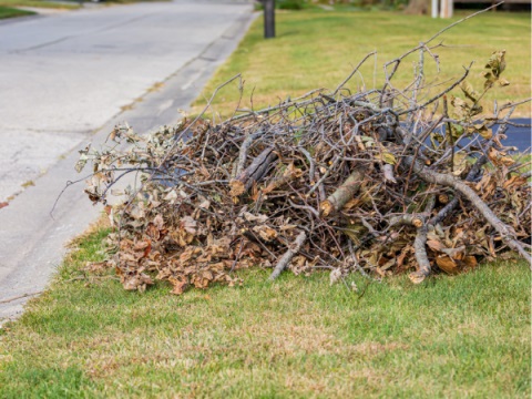 Chipping program returns to Atascadero 