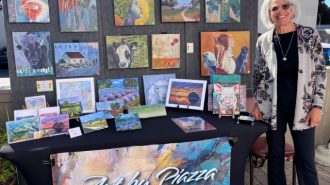 Morro Bay Art Association hosting free demo with collage artist